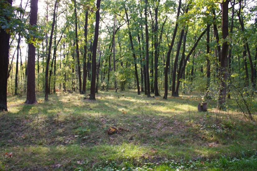 Прилужжя з panoramio.com - Прилужье