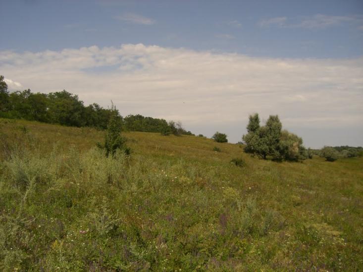 Вільнокур'янівське з panoramio.com - Вільнокур'янівське