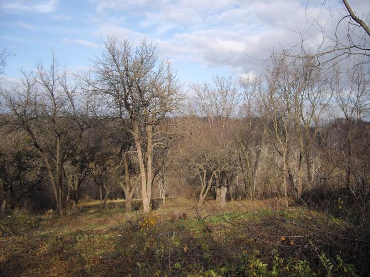 Обухів з panoramio.com - Обухов