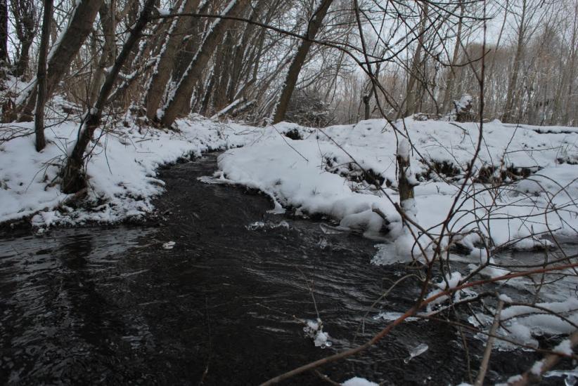 Грушківка з panoramio.com - Grushkivka