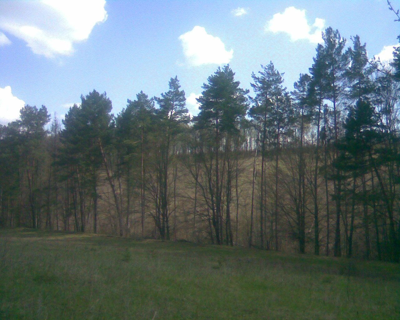 С. Майдан-Карачіївецький - Майдан-Карачієвецький