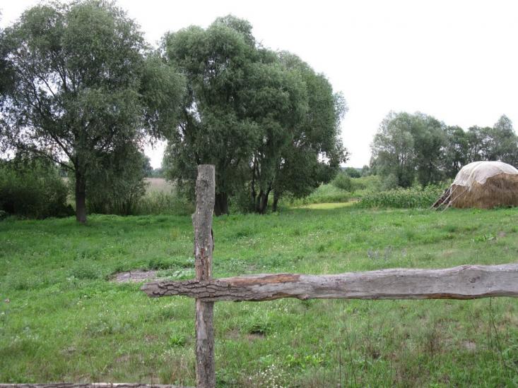 Лохвиця з panoramio.com - Lokhvitsa