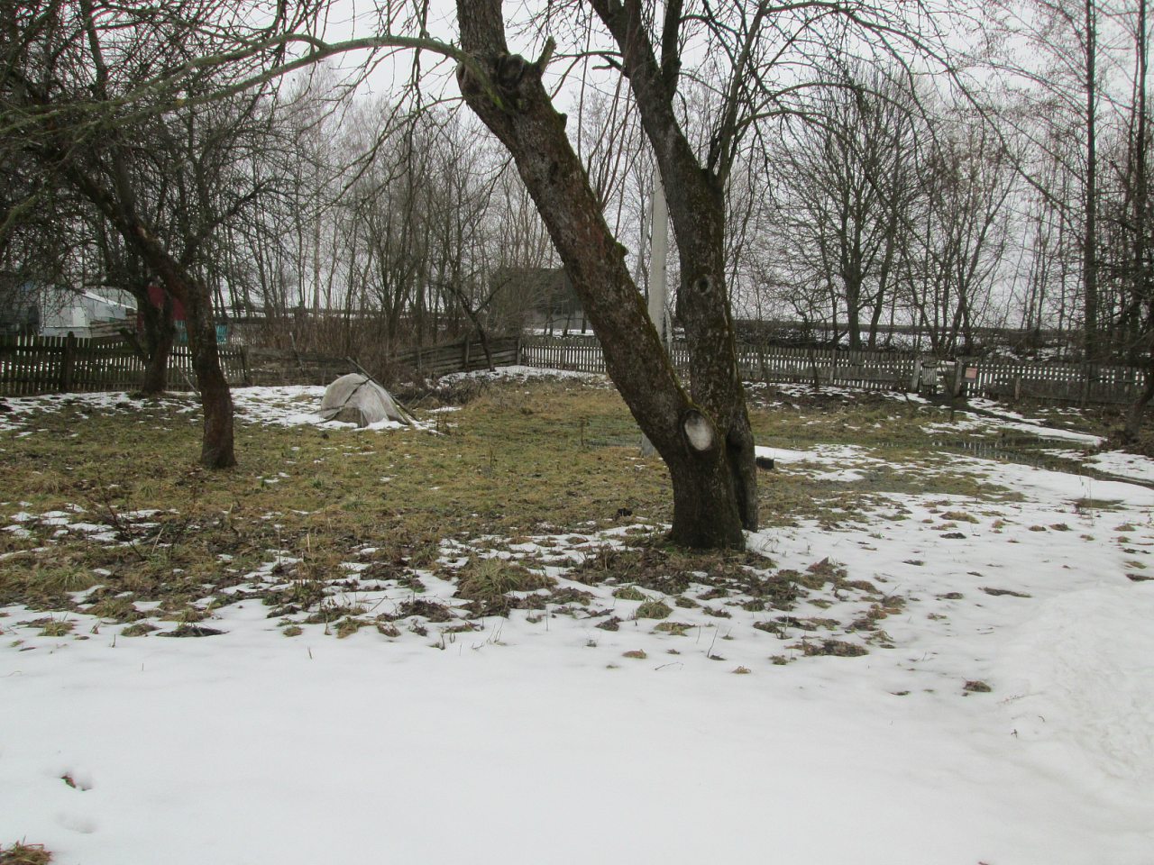 Мостове у лютому 2014 - Мостове