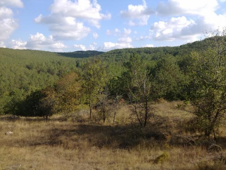 Повортне з panoramio.com - Povortne