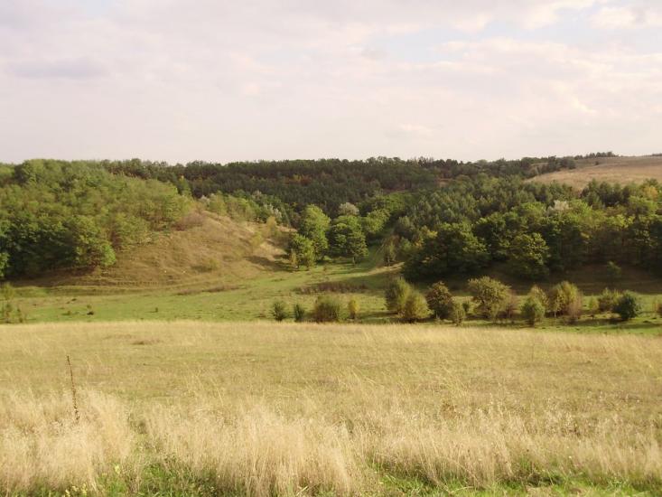 Ситники з panoramio.com - Ситники