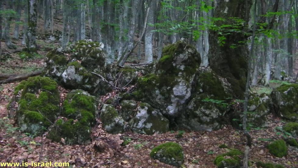 Многоріччя з panoramio.com - Многоречье