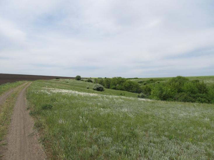 Макорти з panoramio.com - Макорты