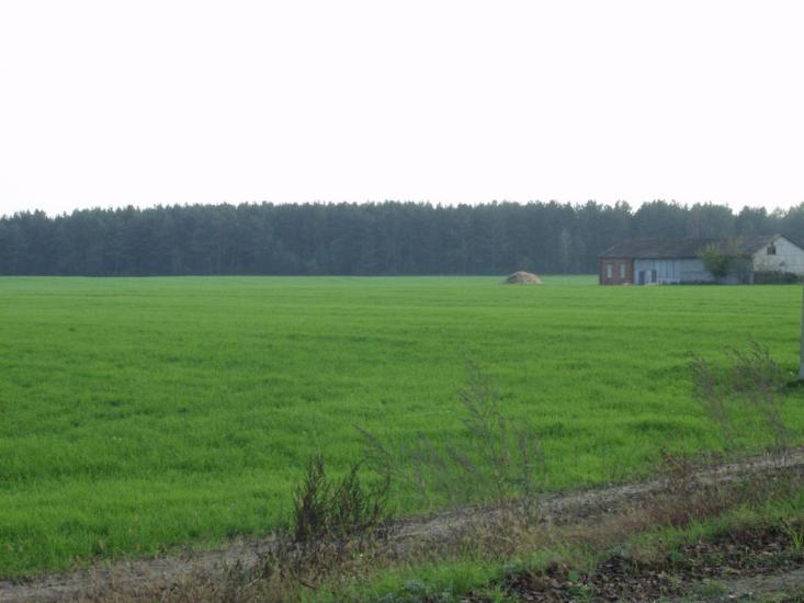 Кукарі з panoramio.com - Кукари