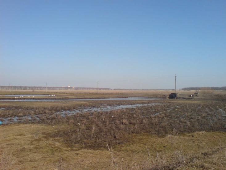 Тернова з panoramio.com - Терновая