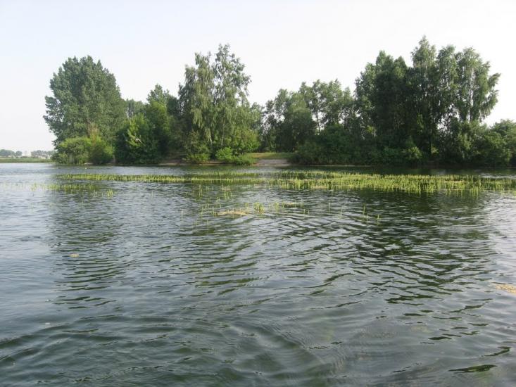 Зарічне з panoramio.com - Зарічне