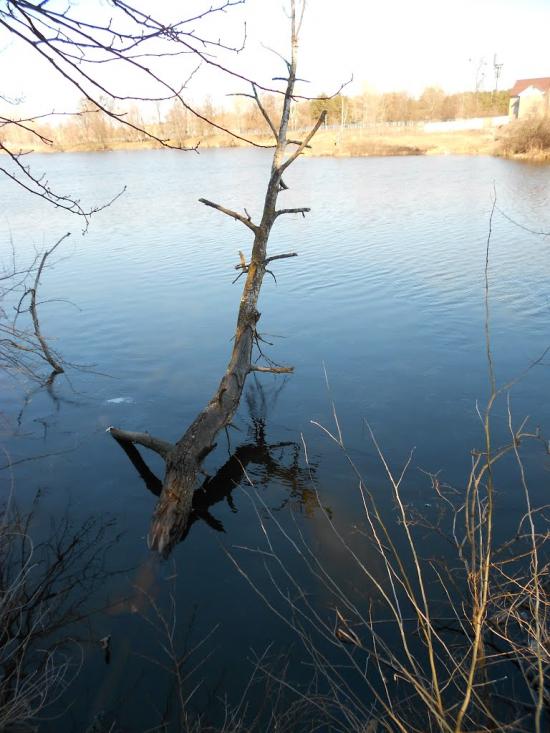 Чапаєвка з panoramio.com - Чапаевка