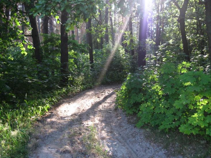 Ясногородка з panoramio.com - Ясногородка