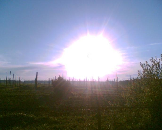 Постійне з panoramio.com - Постійне