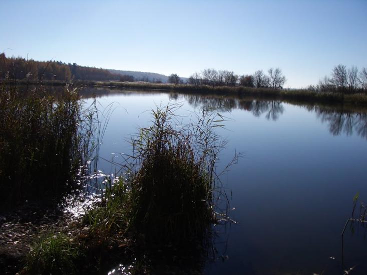 Ліпляве з panoramio.com - Лепляво