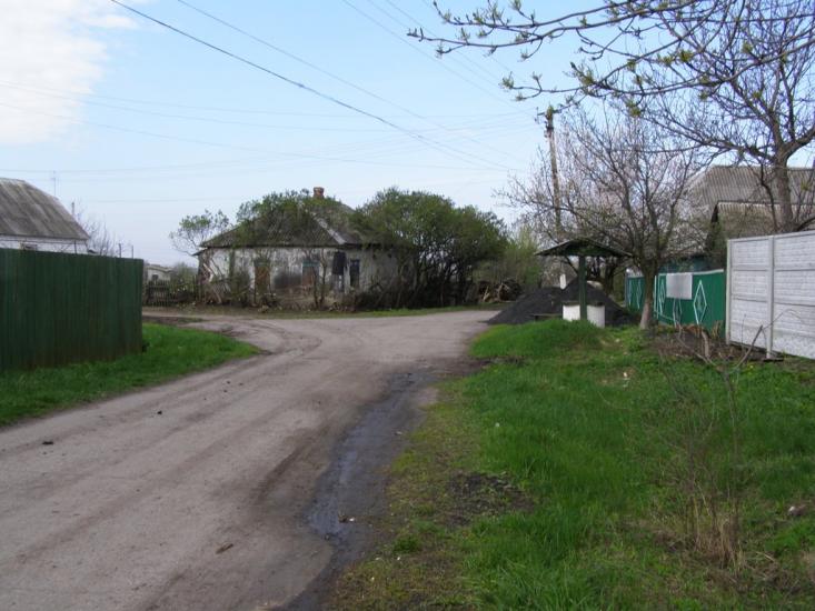 Таранівка з panoramio.com - Taranivka