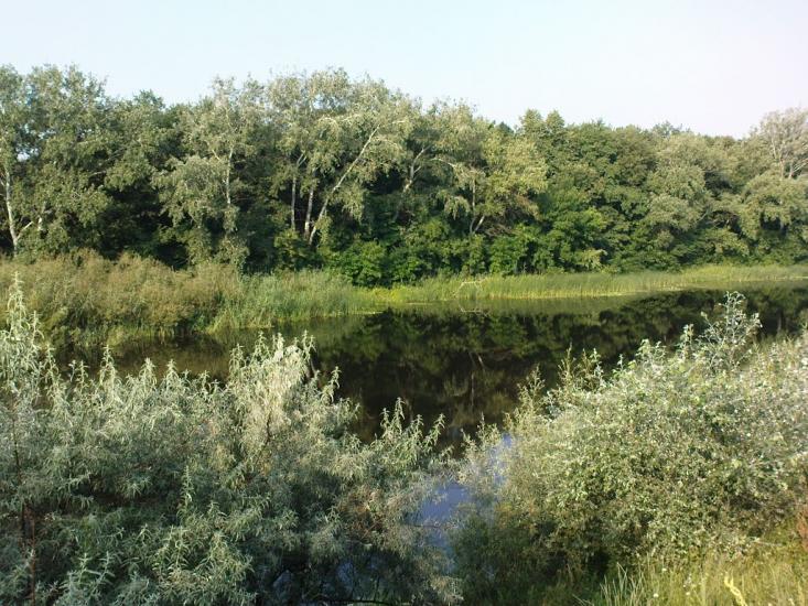 Червона Орілька з panoramio.com - Червона Орілька