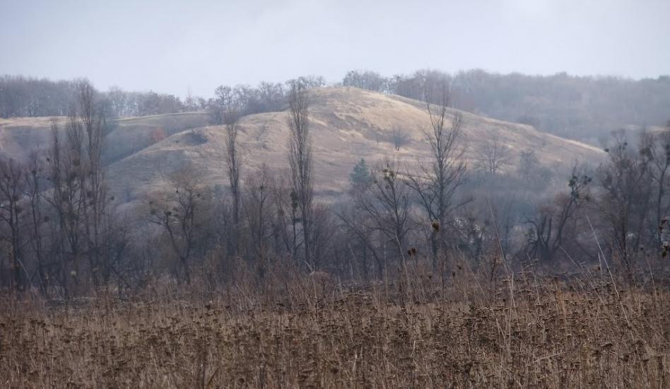 Коженики з panoramio.com - Коженики