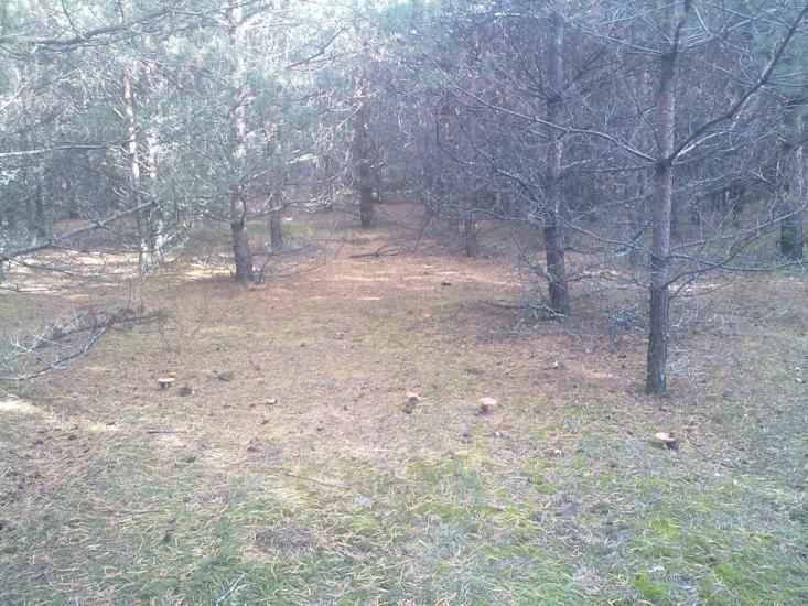 Суслівка з panoramio.com - Суслівка