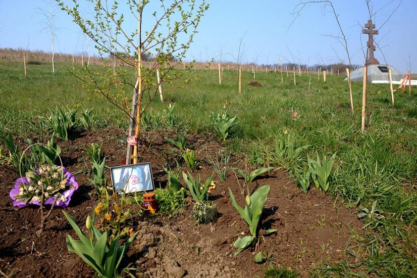 Суха Балка з panoramio.com - Суха Балка