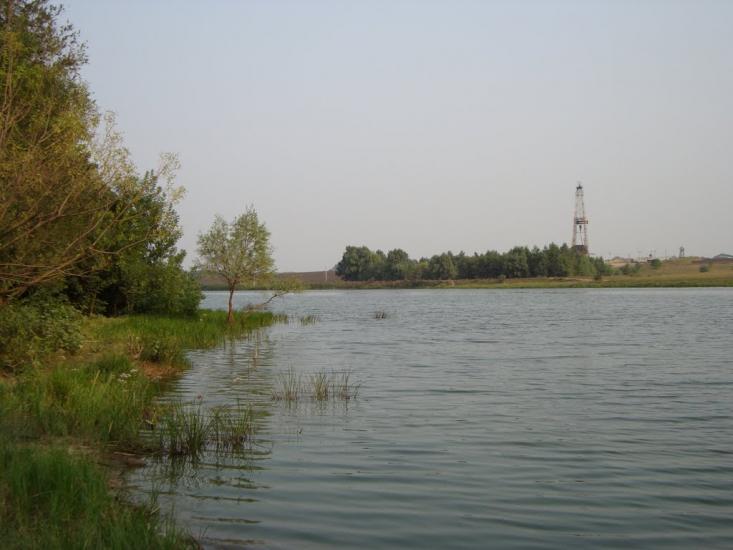 Петрівка з panoramio.com - Петрівка