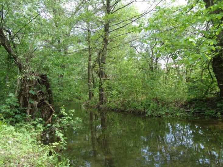 Микишівка з panoramio.com - Микишівка