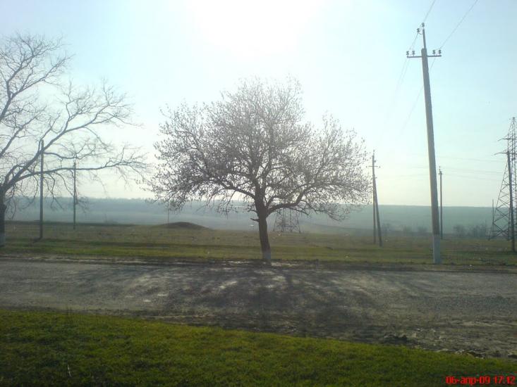 Суворове з panoramio.com - Suvorove