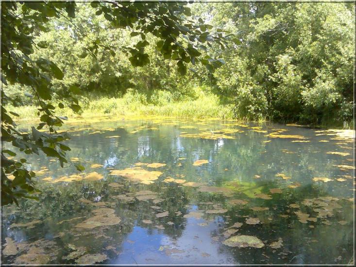Кушкине з panoramio.com - Кушкино