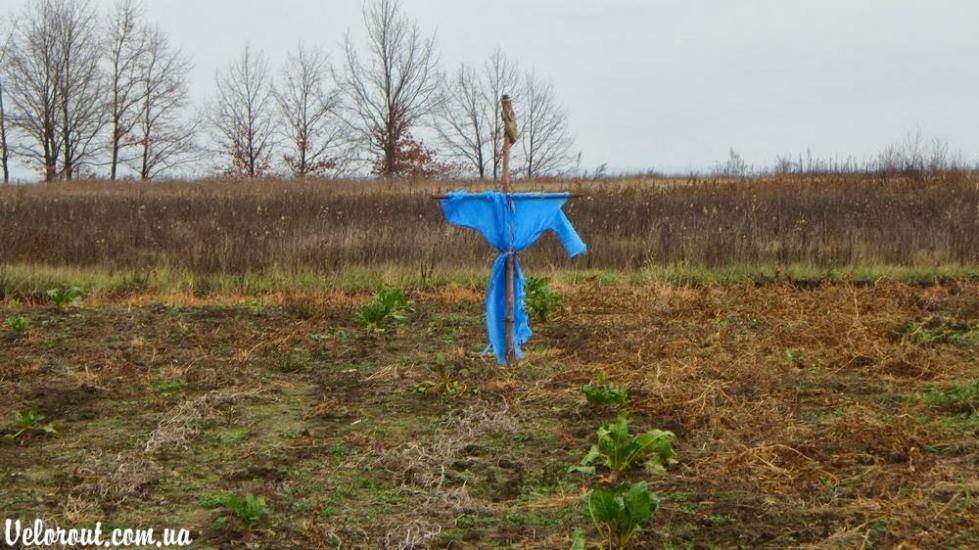Великі Дмитровичі з panoramio.com - Великі Дмитровичі