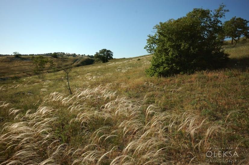Інкерман з panoramio.com - Инкерман