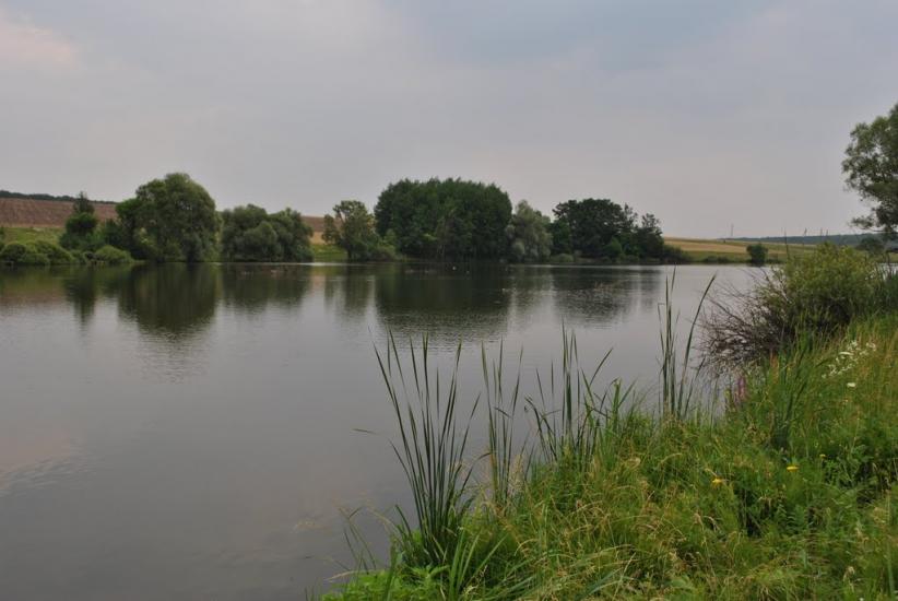 Орішанка з panoramio.com - Орішанка