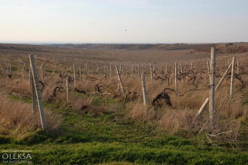 Пироговка з panoramio.com - Пироговка