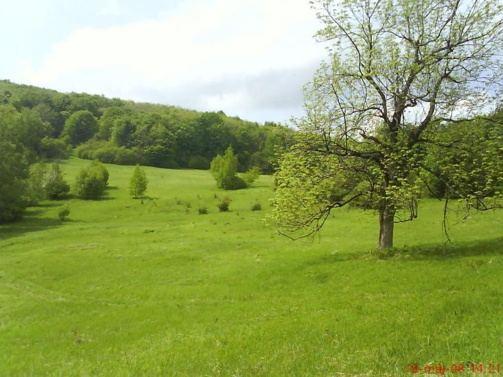 Гута з panoramio.com - Гута