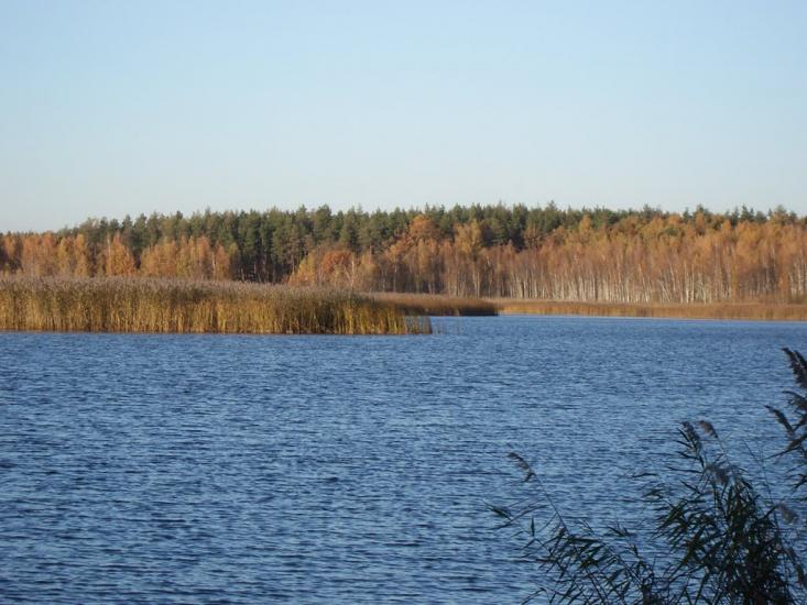 Ліпляве з panoramio.com - Лепляво