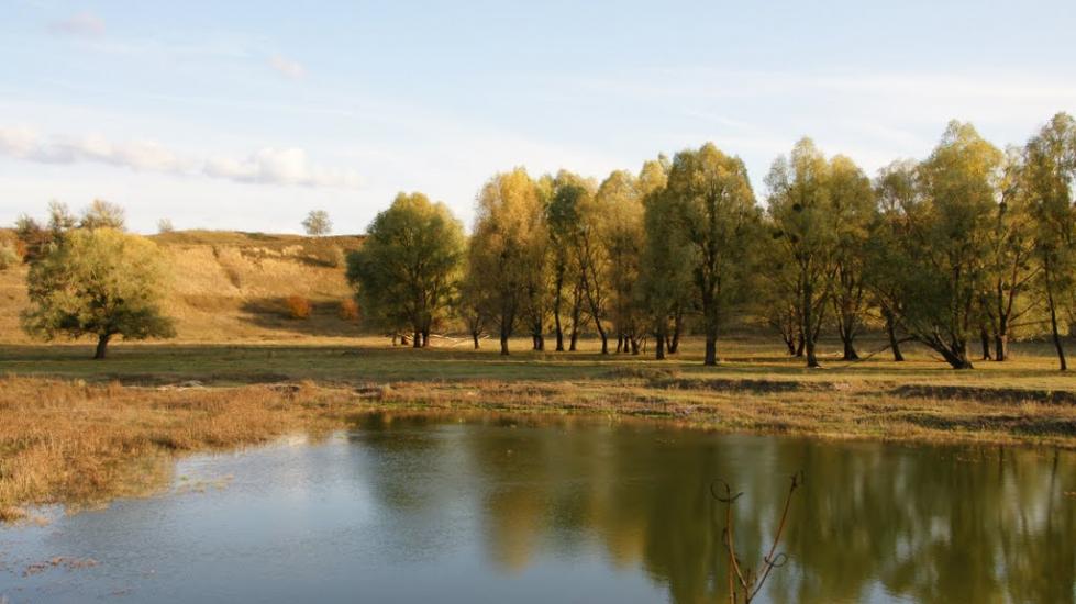 Перше Травня з panoramio.com - Перше Травня