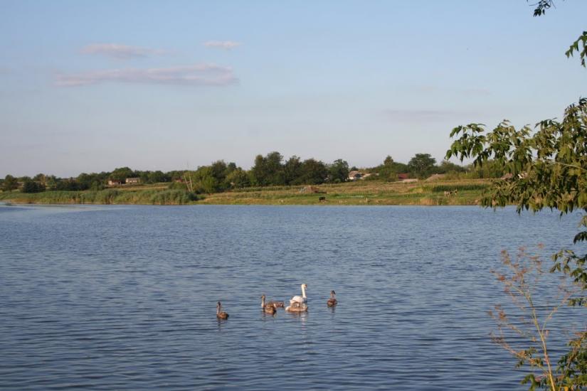 Плетений Ташлик з panoramio.com - Плетений Ташлик