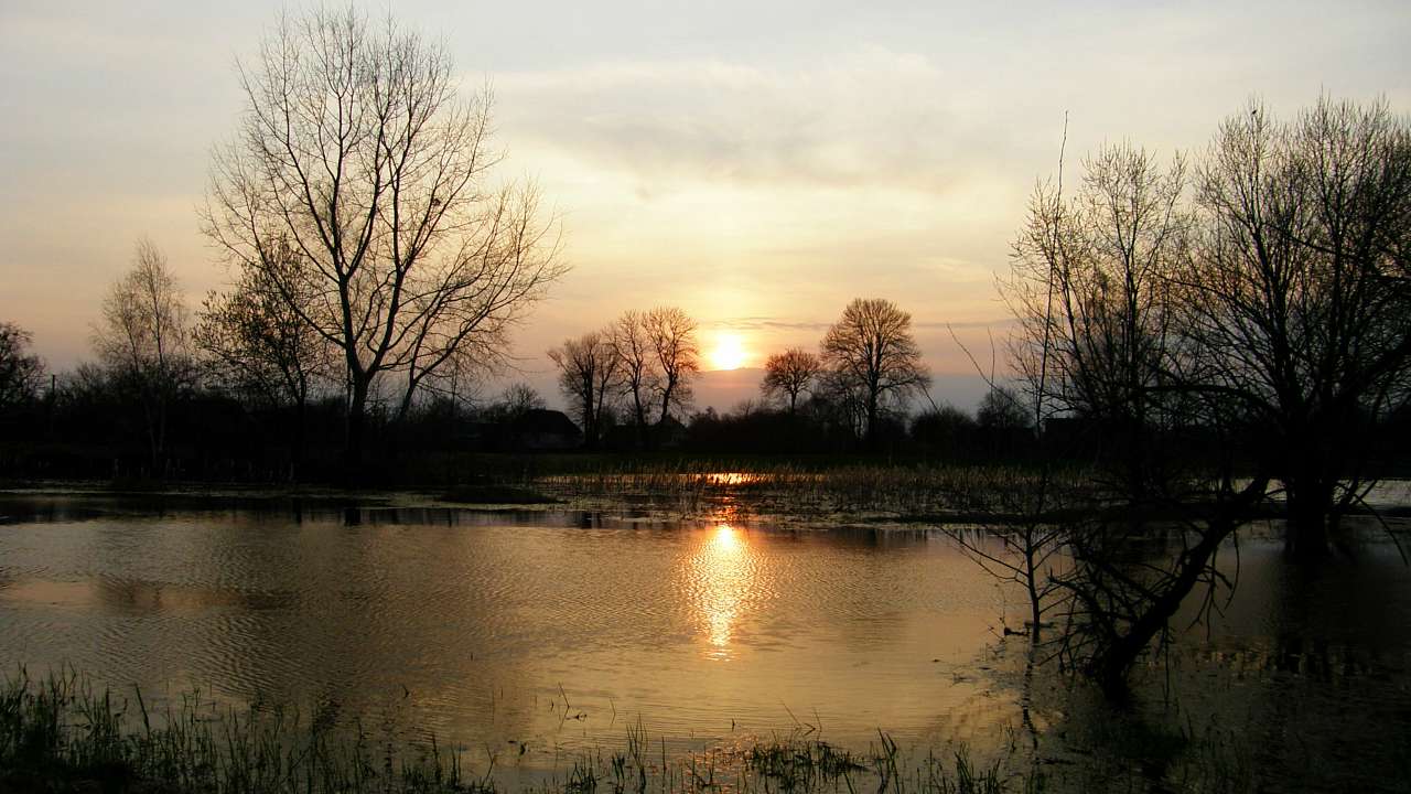 Вереси, які вони є... - Вереси