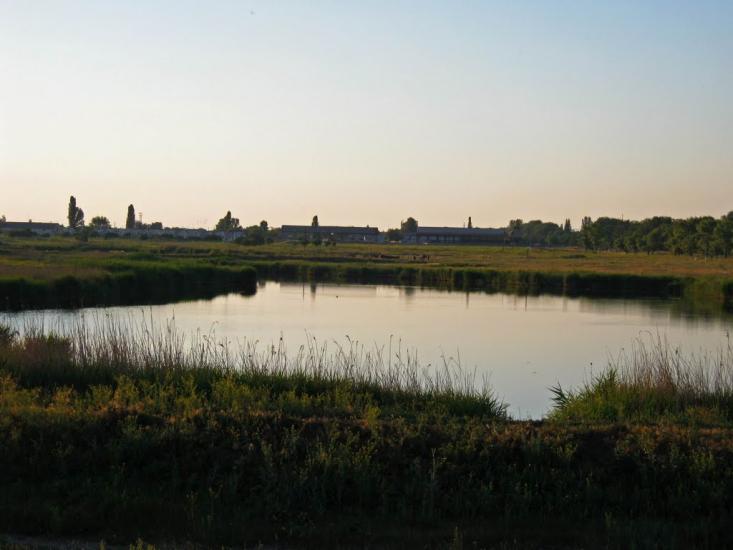 Новопілля з panoramio.com - Новополье