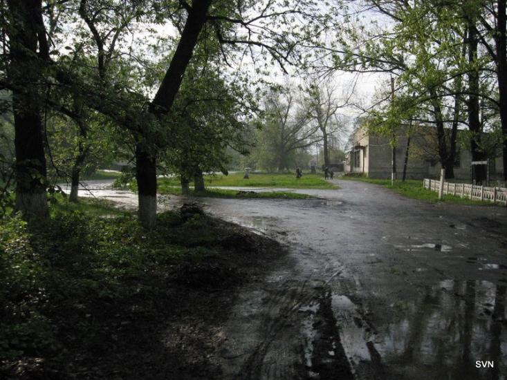 Новодар'ївка з panoramio.com - Новодарьевка