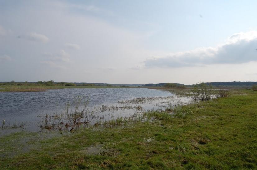Куликовичі з panoramio.com - Kulykovychi