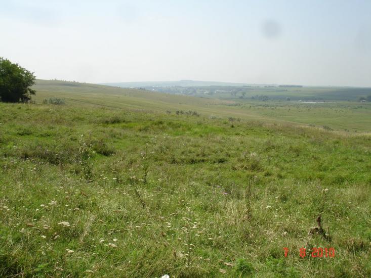 Динівці з panoramio.com - Динівці