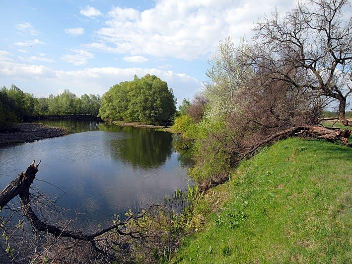 Малі Будища з panoramio.com - Mali Budyscha