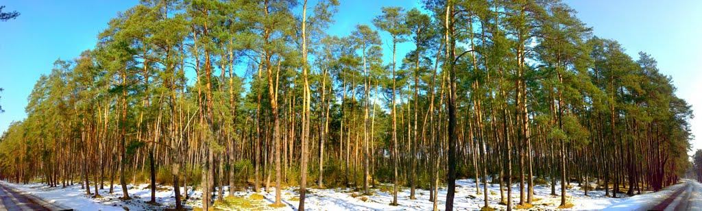 Немирів з panoramio.com - Немирів