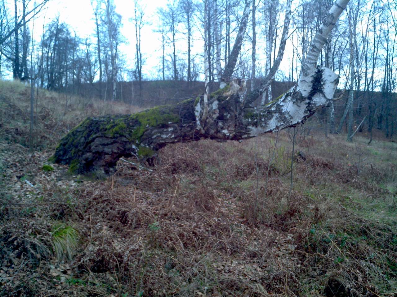 Городище - Городец