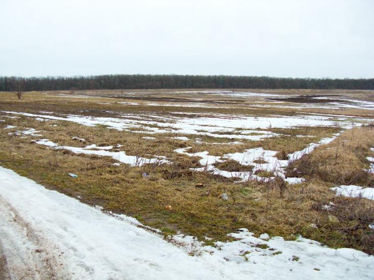 Руська Лозова з panoramio.com - Русская Лозовая