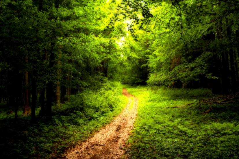 Гута з panoramio.com - Guta