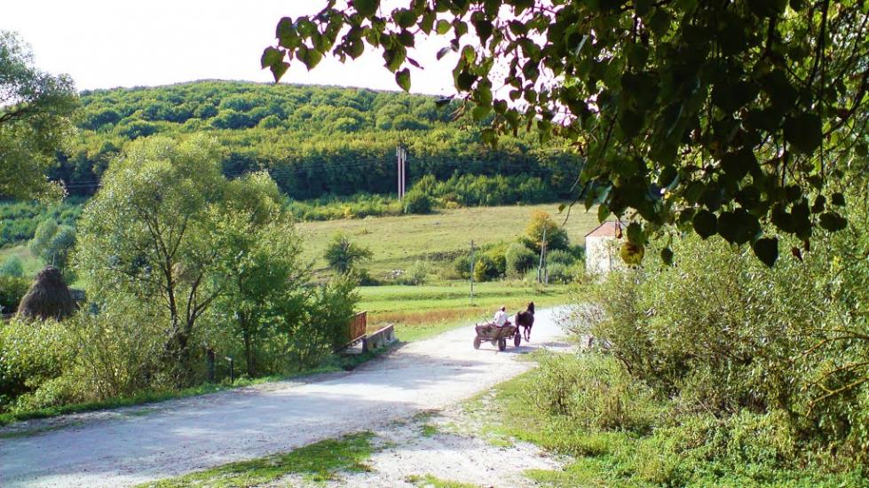 Рогачин з panoramio.com - Рогачин