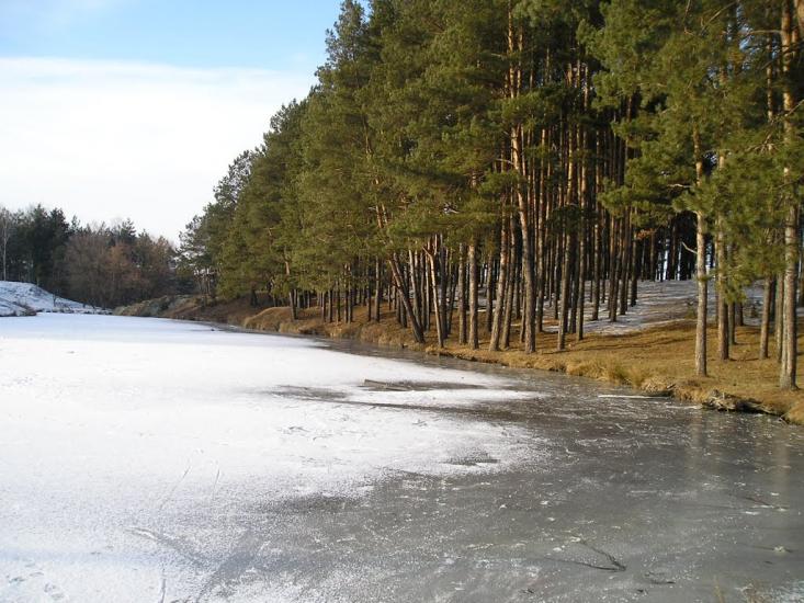 Першотравенськ з panoramio.com - Першотравенськ