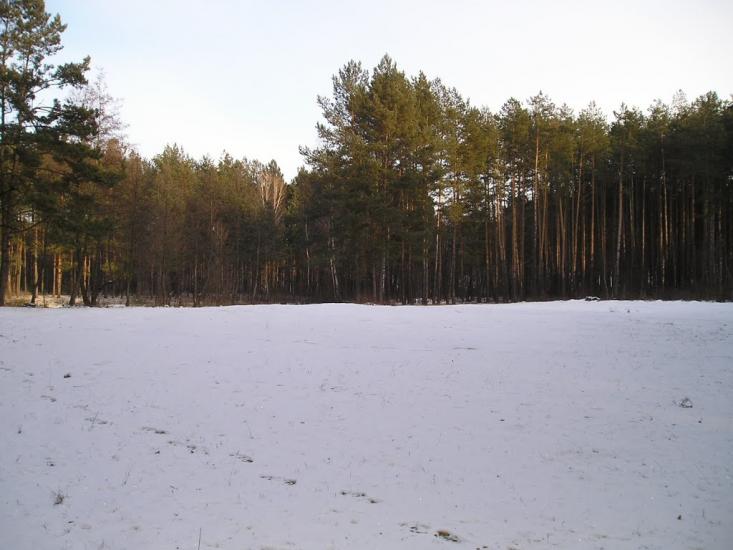 Першотравенськ з panoramio.com - Першотравенськ