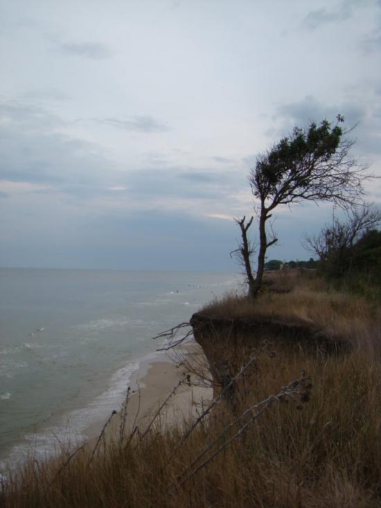 Лебедівка з panoramio.com - Lebedivka