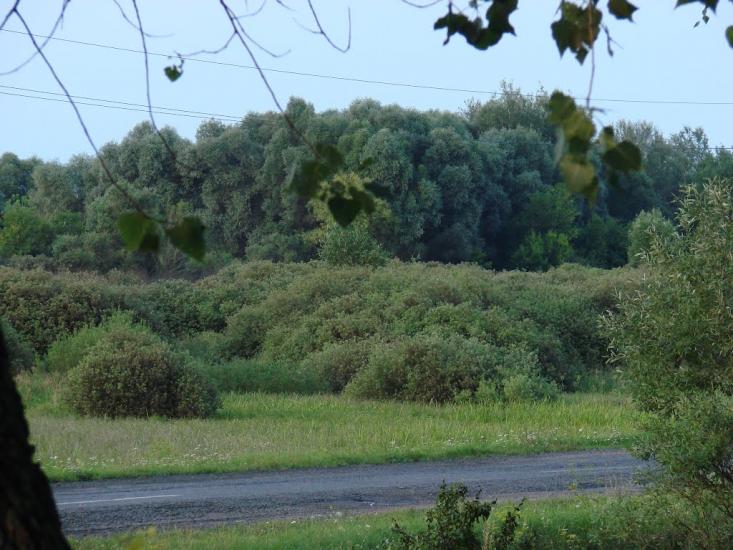Велика Чернеччина з panoramio.com - Велика Чернеччина